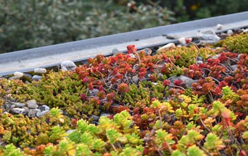 the cost of Springside green roof installation